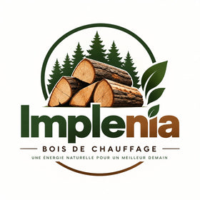 Implenia AG